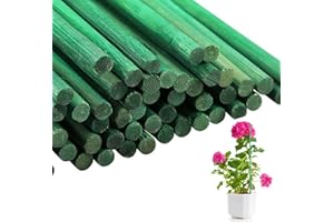 Almineez 50Pcs Green Plant Support Sticks 60cm / 24 inch Bamboo Plant Stakes Split Canes, Floral Sticks Garden Flower Sticks for Orchid Pea Vegetables Support Floral Plant Stakes