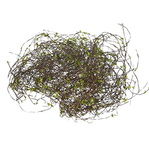 Preisvergleich Produktbild Deko-Zweige mit Blättern, ca. 20 g