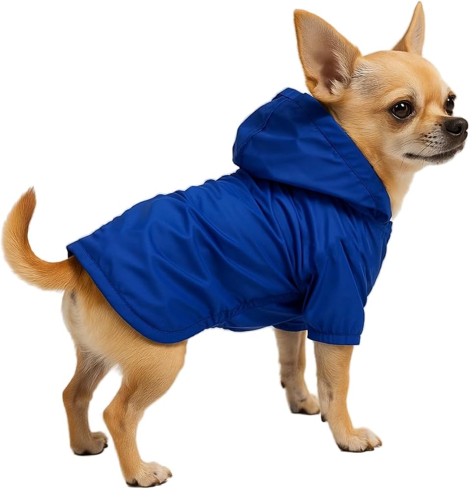 MPZ PETS Kedi ve Köpek Kıyafeti & Elbisesi Yağmurluğu Saks Mavi Fileli Yağmurluk L