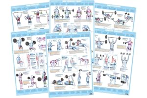 CHARTEX Bodybuilding, Weight Training Exercise Chart Series - A1 Laminated Set of 6