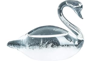 Viitech Christmas Gifts Storm Glass Weather Forecaster, Swan-Shaped Weather Glass Weather Station, Decorative Crystal Weather Predictor for Office Desktop Home Decorative Weather Glass