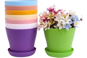 TOKERD 10 Piezas Macetas de Plástico con Plato Coloridas 14cm Macetas de Plantas de Interior y de Exterior para Oficina u Hogar