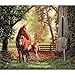 Produktbild 14"X12" Gold Collection Mare & Foal Counted Cross Stitch Kit 35260