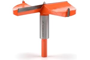 ITOOLFIRM Mèche Forstner 100 mm avec guidage - Foret à bois avec tige hexagonale - Foret à charnière pour bois et bois dur