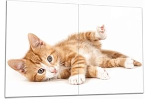 Wallario Hob Cover Plate / Splash Guard Made of Glass, 2 Pieces, 80 x 52 cm, for Ceramic and Induction Hobs, Cute Cat with Big Eyes, Red White Tabby