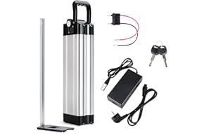 SDTYYP E-Bike Pedelec Batterie 48V 20Ah, Convient aux Moteurs 48V 250W/350W/500W/750W/1000W/1200W, pour Moma Vélo MiFa Rex Aldi, Peut Correspondre aux Phylion/XH370-10J avec Chargeur