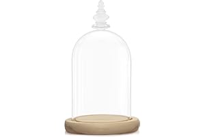 BELLE VOUS Urna Cristal con Base de Madera Natural — Cupula Cristal de 21,5 cm — Fanal Cristal Transparente para Luces de Hada, Centro de Mesa y Antigüedades