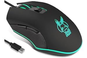 IULONEE Souris Gamer Filaire RVB Silencieux USB Souris Gaming Ergonomique Souris de Type C 2400 DPI 6 Boutons Programmables 4 Prise de Vue pour PC Portable Mouse Ordinateur de Bureau Mac Noir