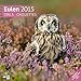 Eulen 30 x 30 cm 2015 by 