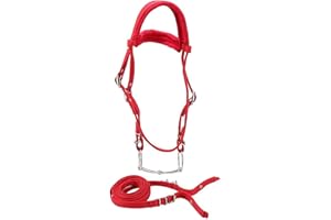 TopHomer Brida de Filete de Caballo con rienda, arnés de Cabestro de Caballo Ajustable Rojo, Cabezas de Caballo, Broca de Caballo con cojín Suave para Caballo (pequeño, Rojo)