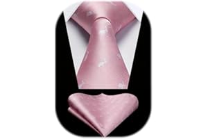 HISDERN Cravate Homme à Motif Animalier Cravates et Pochette Mariage Élégant Ensemble de Cravate Mouchoir Originale pour Fête d'affaires