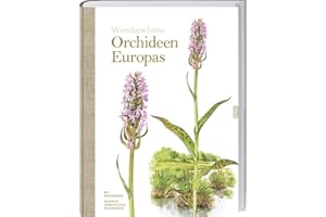 Wunderschöne Orchideen Europas: Entdecken, Identifizieren und Verstehen. Der umfassende Leitfaden mit Artenporträts und einzigartigen Illustrationen zu über 30 europäischen Orchideenarten.