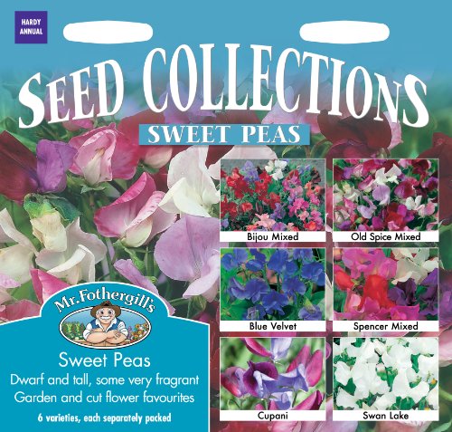 Mr. Fothergill's Sweet Pea Flower Seeds Collection 6 Sachets