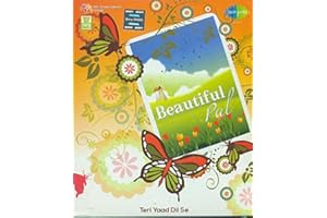 Beautiful Pal Teri Yaad Dil Se