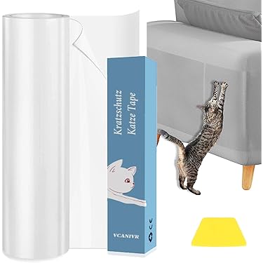 Kattengras in huis: dit zijn 5 voordelen voor binnenkatten - Katten