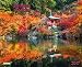 Japanese Garden 2017: Kalender 2017 (Decor Calendars 55x45) by 