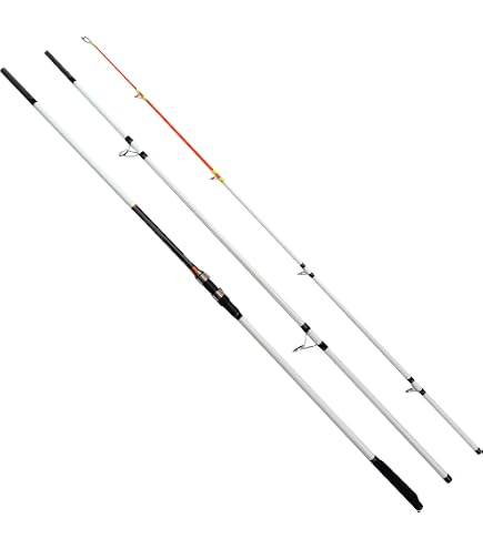 Canne Surfcasting Daiwa Crosscast 4.2 M - Puissance 100-225 G - Action Rapide - Fuji Lowrider