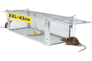 LAOYE Piege a Rat Cage Rat XXL 43x14x12cm Piège à Souris Vivante pour Rats Loir Mulot Rongeurs Souris Attrape Rat à Double Porte Piege a Souris sans Tuer Piège à Rats Haute Sensibilité & Réutilisable