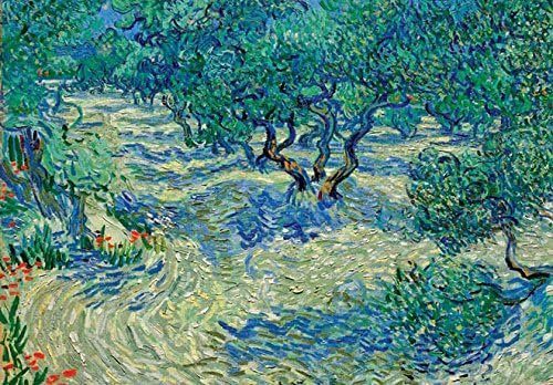 Olive Orchard by Vincent Van Gogh – Greetings Card
