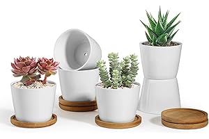 T4U ComSaf 8.5CM Ceramic Succulent Plant Pot Cactus Planter Window Box with Tray - Small White Pack of 6, Desktop Windowsill Office Decoration Birthday Wedding for Garden Lover