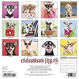 Image de Chihuahua Rules 2017 Calendar