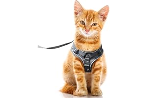 FEimaX Zestaw uprzęży dla kota i smycz do chodzenia, odporna na ucieczkę, regulowana kamizelka z odblaskowym paskiem, miękka siatka, uprząż dla małych psów dla kociaka, szczeniaka i królika