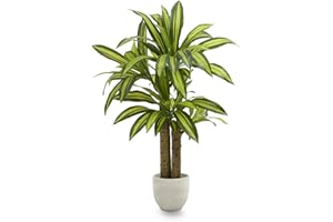 Maia Shop Plantas Artificiales Decorativas - Drácena Artificial 120 cm, Arbol Artificial, Planta Artificial Realista, Drácena Artificial, Decoración Hogar.