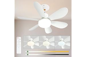 Airwit 52cm Ventilatore da Soffitto con Luce e Telecomando, 40W Ventilatore Soffitto LED Dimmerabile, Piccolo Ventilatori a Soffitto Silenzioso con Attacco E27 per Camera da Letto, 3 Velocità