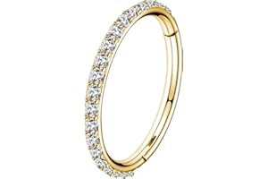 OUFER 18G 20G Nose Ring Hoops Hinged Seamless Segment Helix Piercings Nostril Clicker 316L Stainless Steel CZ Line Daith Tragus Cartilage Earring Jewellery