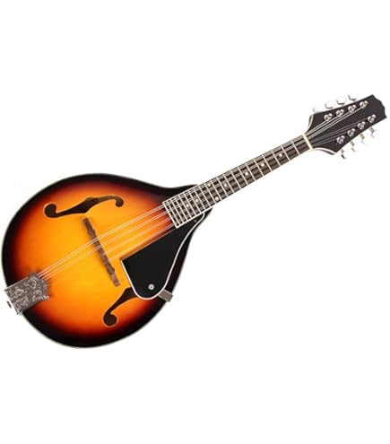 Blue Moon BM-07 Mandolin : Amazon.co.uk: Musical Instruments & DJ