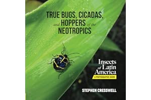 True Bugs, Cicadas, and Hoppers of the Neotropics: 2 (Insects of Latin America, A Photographic Guide)