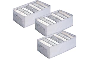 hinrey Organizer per armadio, 7 x 3 scatole portaoggetti per armadio, cassetti, adatto per camicie, jeans, maniche corte, camicia intima