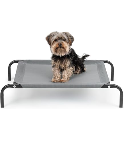 Verhoogd hondenbed, hondenbed, huisdierbed, huisdierbed, ademend mesh en suède mat en