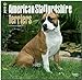 American Staffordshire Terriers 2015 - Amstaff: Original BrownTrout-Kalender [Mehrsprachig] [Kalender] by 