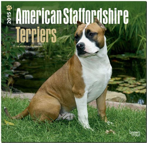 American Staffordshire Terriers 2015 - Amstaff: Original BrownTrout-Kalender [Mehrsprachig] [Kalender]