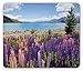Produktbild BAOQIN Mauspad,Rustic Mouse Pad, Field of Lupin Wildflowers on The Shore of Lake Tekapo New Zealand Idyllic Scenery, Standard Size Rectangle Non-Slip Rubber Mousepad, Multicolor