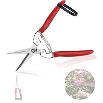 Sécateur De Jardin Ergonomique - Cisaille Pour Taille Plantes, Fleurs, Bonsaïs, Légumes (Acier 3Cr13) - 4
