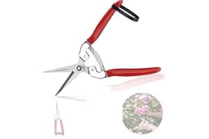 Pflanzenschere & Gartenschere Kleine Gerade Schere - Ernteschere, Astschere, Obstbaum für Garten Bonsai Pflanzen Blumen Rosen Blumenstrauß Zweige Ernte Obst und Gemüse Früchte Grow Zubehör(Gerade)