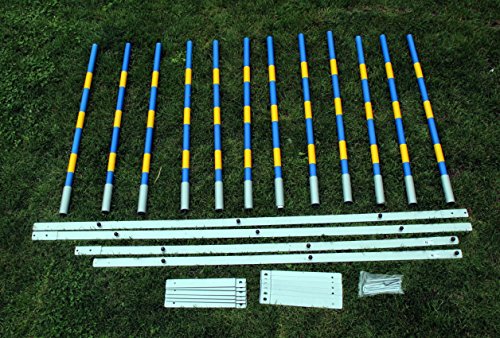 Introductory-offer-dog-agility-weave-poles-12X60cm-straight-weaves-for-training-and-kennel-club-competition