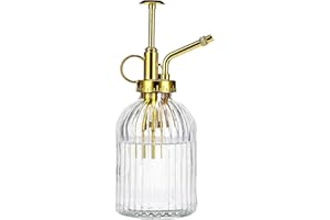 Eidoct Flacon pulvérisateur en verre transparent de 19,1 cm avec pompe supérieure dorée, petit arrosoir, pulvérisateur pour plantes d'intérieur ou d'extérieur, transparent + doré (transparent + doré