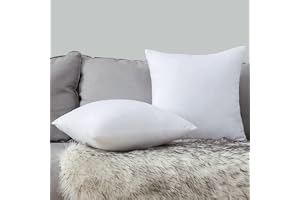 MIULEE Set med 2 innerkuddar, 40 x 40 cm, kuddinsats, 40 x 40 cm, varm och mjuk, fluffig fyllig, vit kudde, för dekoration, k