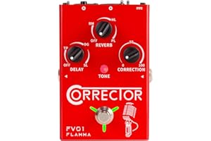 FLAMMA FV01 Vocal Effects Processor Pitch Correction Voice Pedal Vocal Stompbox Microphone Amplifier for Singer Live Singing Streaming Recording with Delay Reverb Acoustic Guitar Playing