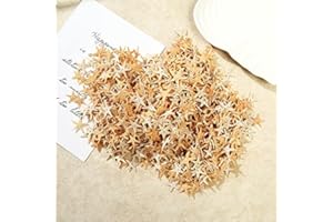 MINYOSE AIDEMEI 100 Unids Material Clásico De Bricolaje Natural Pequeña Estrella De Mar Shell Drift Botella Accesorios Micro Paisaje Material Mini Estrella De Mar