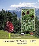 Sammelbilder Heimische Orchideen (2009): Deutschland by 