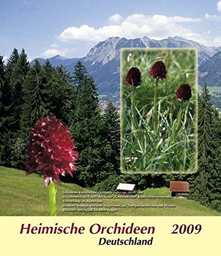 Sammelbilder Heimische Orchideen (2009): Deutschland