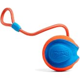 Chuckit! Rope Fetch İpli Oyun Topu