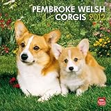 Pembroke Welsh Corgis 2012 by 