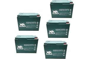 FORÇA Blackbull Akkuset 60V 45AH Akku Batterie für Kabinenfahrzeuge Elektrofahrzeuge ECONELO AKTIVIMO ECABINO