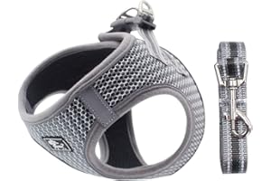 Arnés para Perros Perros pequeños, Arnés Deportivo para Perros Sin Tirón Malla Suave Reflexivo y Transpirable Arnés para Perros y Juego de Cables Ajustable Gris M