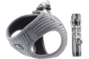 Arnés para Perros Perros pequeños, Arnés Deportivo para Perros Sin Tirón Malla Suave Reflexivo y Transpirable Arnés para Perros y Juego de Cables Ajustable Gris M